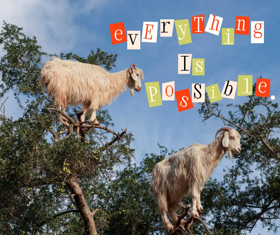 Zapof Forms conditional logic makes everything possible for your form creation